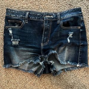Cello denim shorts